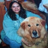 Over the top and beyond Fur Pet Companion here to help you all!