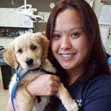 Veterinary Technician looking to care for furry animals :D