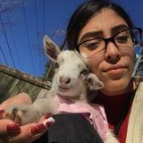 The petsitter you need to love your babys