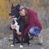 Responsible Pet Sitter to Nurture Your Pet