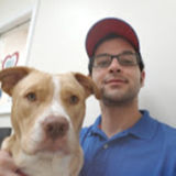 Present Pet Care Provider