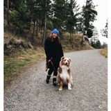 Highly Experienced Pet Sitter !