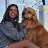 Caring Pet Sitting Professional Available Immediately