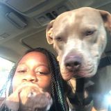 Im kachelle! Available For Indianapolis Dog Walker, Dog sitter, and overnight Opportunities