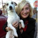 For Hire, Responsible Pet Sitter, overnights okay, Love all types of animals, and treat them as if they are my best friend.