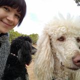 Responsible, pet-loving graduate student
