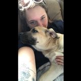 Pet Care Available For All!