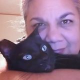 Peace of mind for you and love for your pet