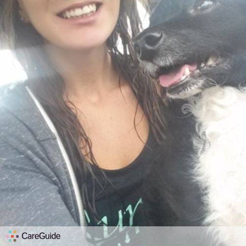 Pet Care Provider Whitney M's Profile Picture