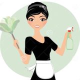 Professional Cleaning Company licensed and bonded
