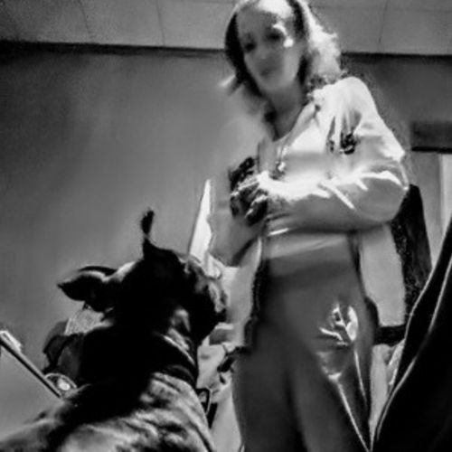 Pet Care Provider Elizabeth S's Profile Picture