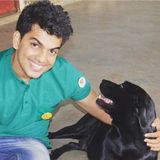 Qualified and Dependable dog sitter - Available a few days a week