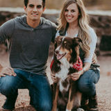 Pet sitter needed for wedding