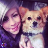 I'll love your fur babies like my own!