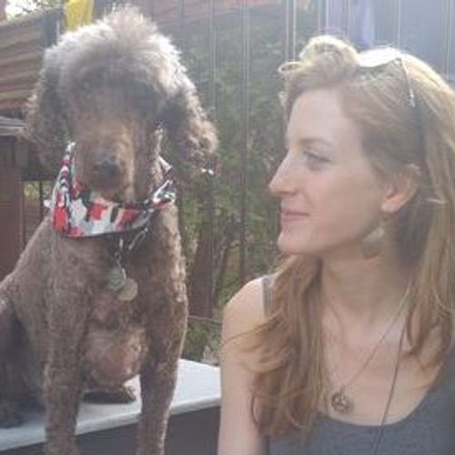 long term pet sitting