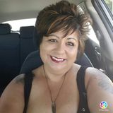 Housesitter for Hire