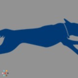 Looking to hire a dog walker