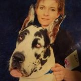 Retired law enforcement available for house/pet sitting.
Trustworthy,reliable and available in a pinch
