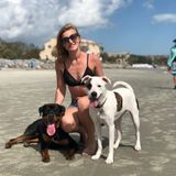 Can I Pet Your Pup?