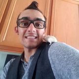 Hardworking College Student That Loves Animals!