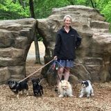 Searching for a Dog Walker Opportunity in Plymouth