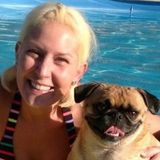 Searching for Pet Sitting Services