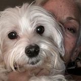 Loves All Animals