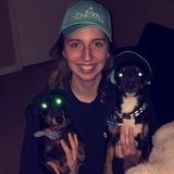 Pet walker/sitter available to work ASAP