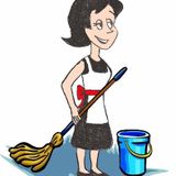 Professional Cleaner And Gardener Looking For Work
