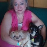 Valdese House Sitter Looking For Being Hired in North Carolina you will not have to worry about a thing