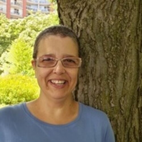 cat sitter north york