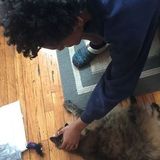 Reliable, clean, loving and tentative pet sitter with years of experience!