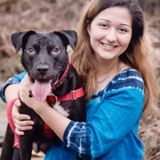 Professional Pet Care in Orlando