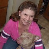 Talented Pet Sitting Available Now!