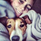 Reliable and caring pet sitter and walker - available full time!