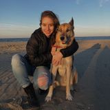 Trustworthy Pet Care Provider in Washington