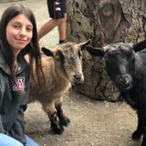 When you cant be there for your animals, you can count on me