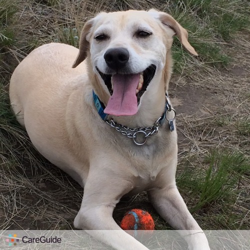 Pet Care Provider Tanya Clooten's Profile Picture