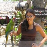Experienced Vet. Tech & Pet Sitter