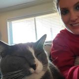 Keep your pet safe and comfortable while you're away!
