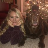 Disciplined Dog Walker in Lake Elsinore