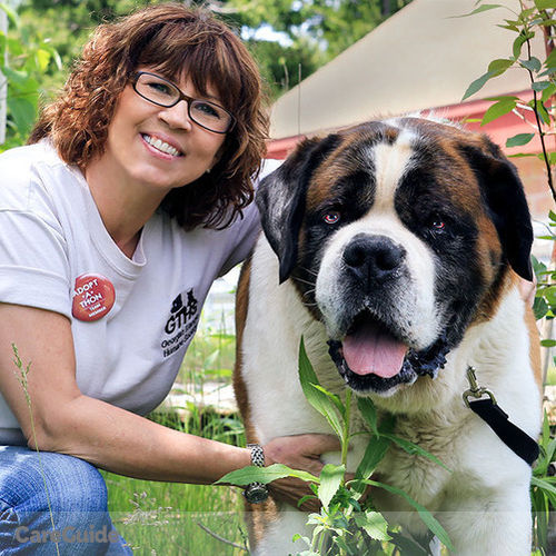 Pet Care Provider Lynda H's Profile Picture