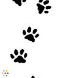 Dog Walking/Pet Sitting in Fort Sask!