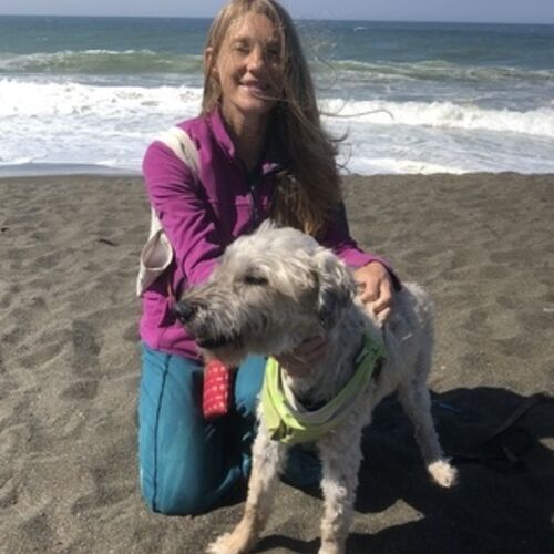 private pet sitters near me