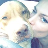 Animal loving pet care provider available