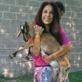 Available: Professional Petsitting overnight
