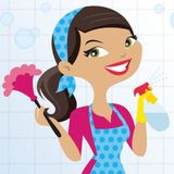 Spring Clean Cleaning Service