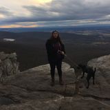 friendly pet loving sitter for hire: Halethorpe, MD