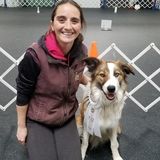 Reliable Pet Supervisor in Taunton, Massachusetts