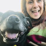 Skillful Animal Lover in Paradise: Pet Services